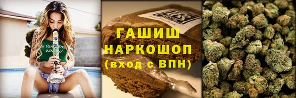 ПСИЛОЦИБИНОВЫЕ ГРИБЫ Дмитриев