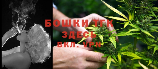 не бодяженный Новозыбков