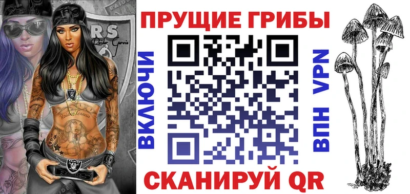 Псилоцибиновые грибы мицелий  Неман 
