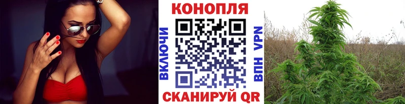mega ТОР  даркнет сайт  Неман  Канабис SATIVA & INDICA 